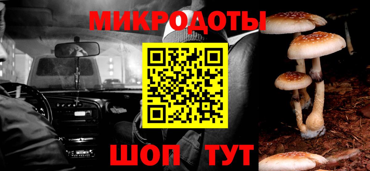 как найти закладки  Вход с VPN  Советский  Галлюциногенные грибы мицелий 