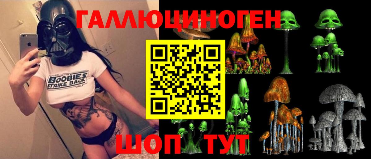Галлюциногенные грибы Psilocybe Советский
